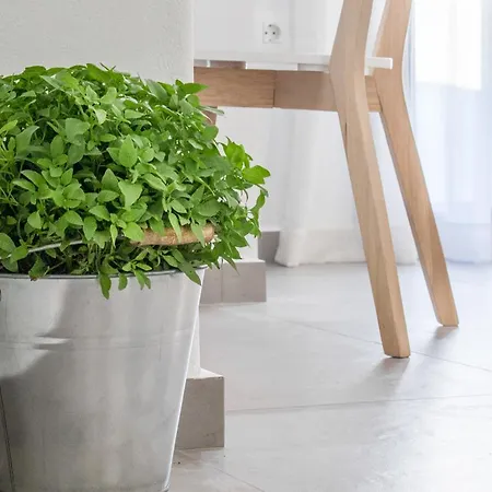 Margaret Of Naxos Agios Prokopios (Naxos)